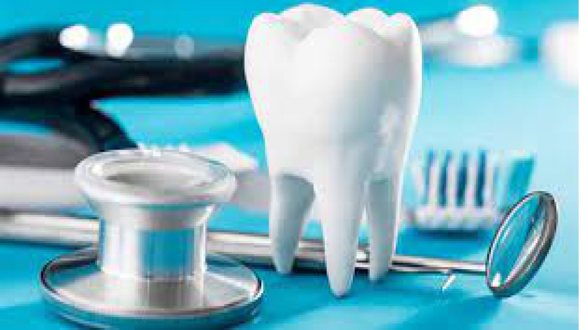 YKS Yerleştirme - Diş Hekimliği Fakültesi  - 1